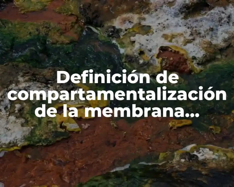 Definición de compartamentalización de la membrana plasmática