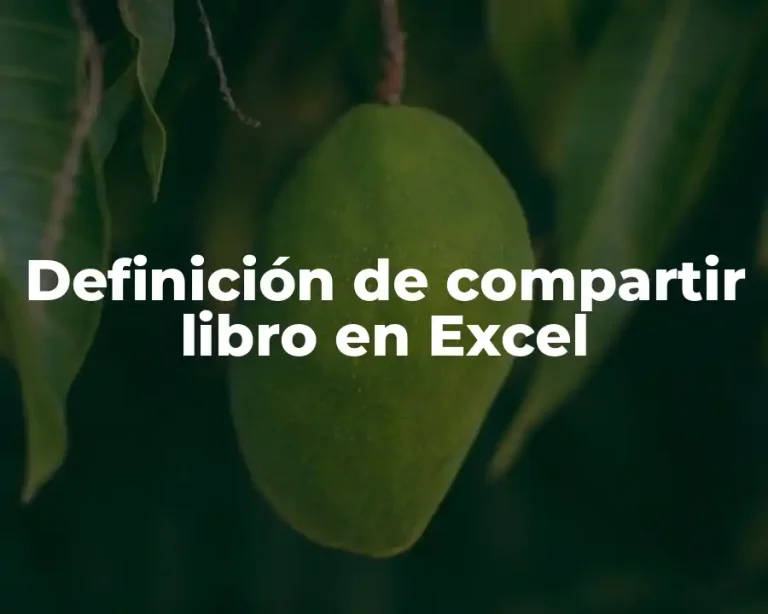 Definición de compartir libro en Excel