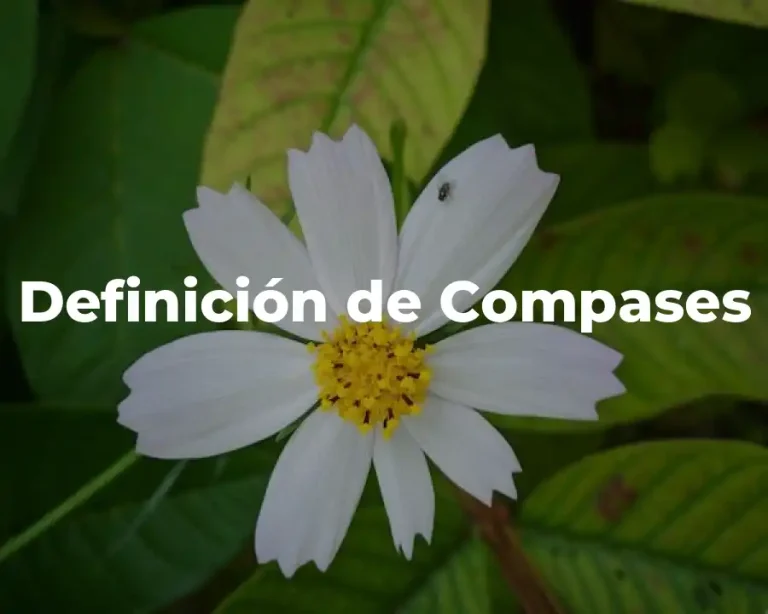 Definición de Compases