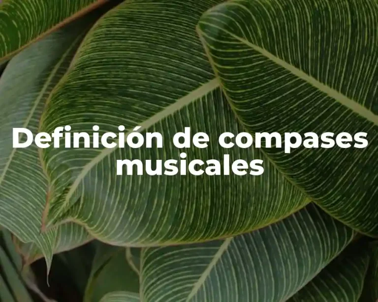 Definición de compases musicales