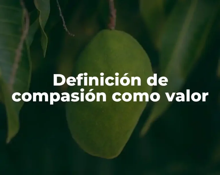 Definición de compasión como valor