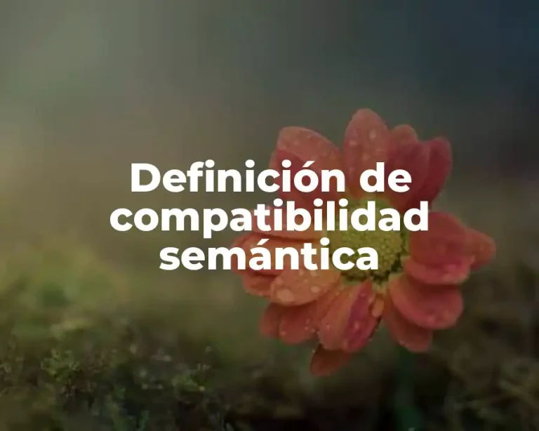 Definición de compatibilidad semántica