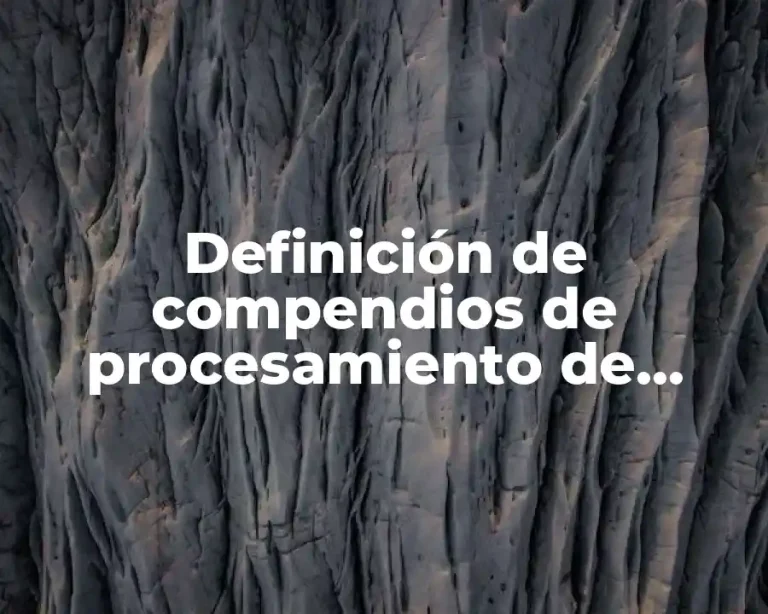 Definición de compendios de procesamiento de información estadística