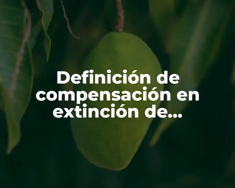Definición de compensación en extinción de obligaciones