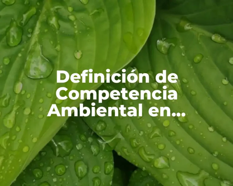 Definición de Competencia Ambiental en Educación Básica