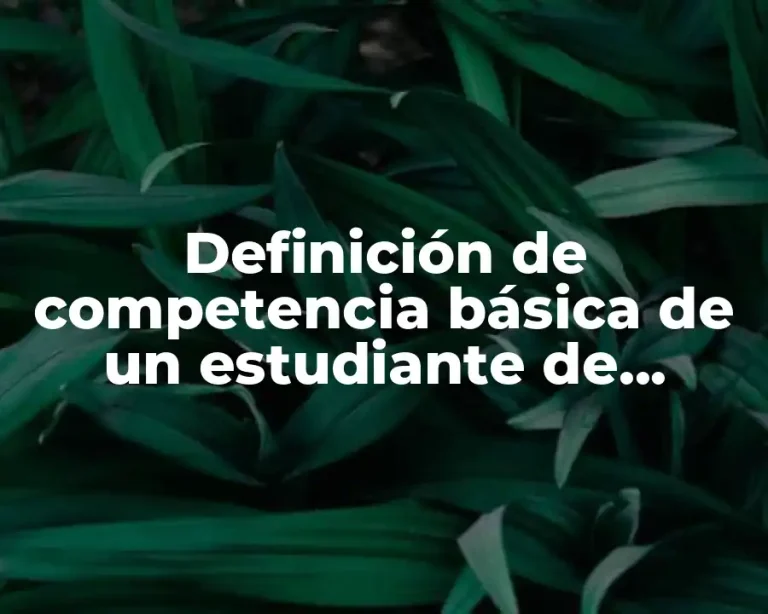 Definición de competencia básica de un estudiante de administración
