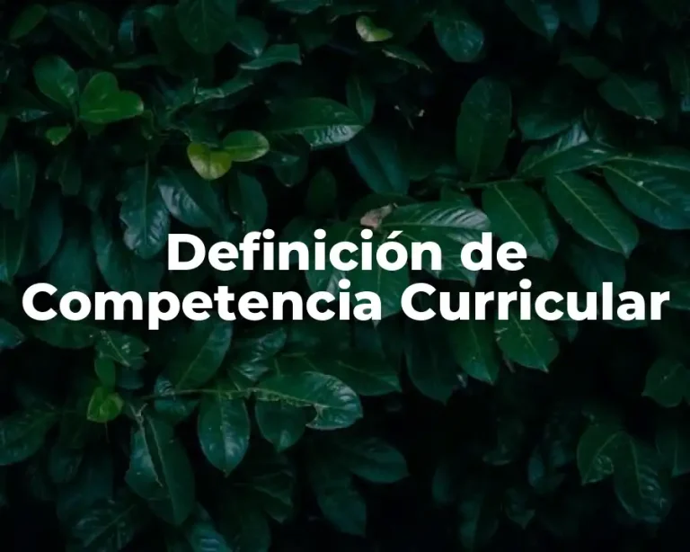 Definición de Competencia Curricular
