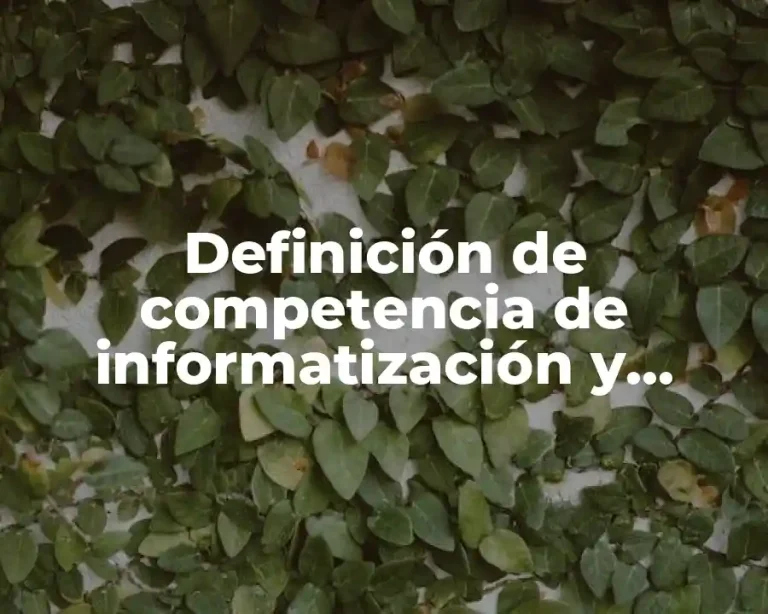 Definición de competencia de informatización y alfabetización informacional