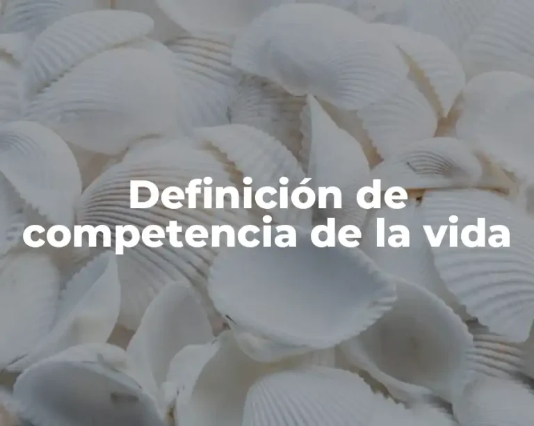 Definición de competencia de la vida