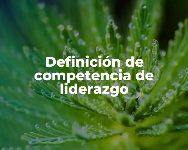 Definición de competencia de liderazgo