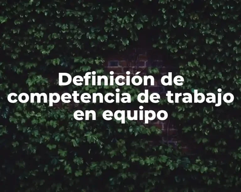 Definición de competencia de trabajo en equipo
