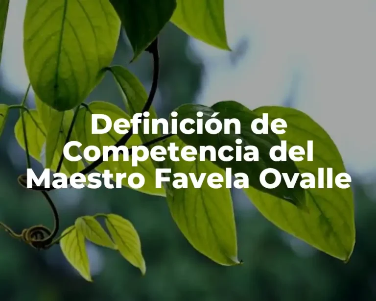 Definición de Competencia del Maestro Favela Ovalle