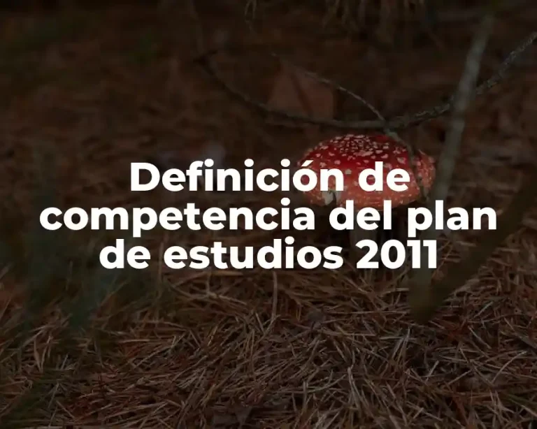 Definición de competencia del plan de estudios 2011