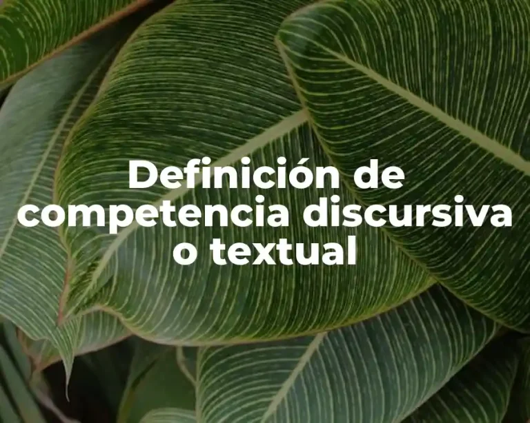 Definición de competencia discursiva o textual