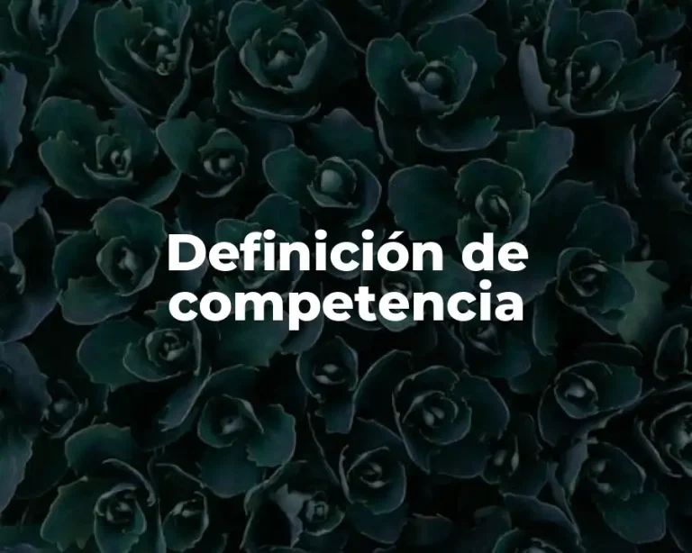 Definición de competencia