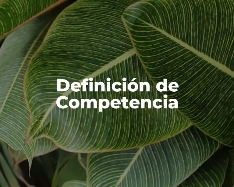 Definición de Competencia