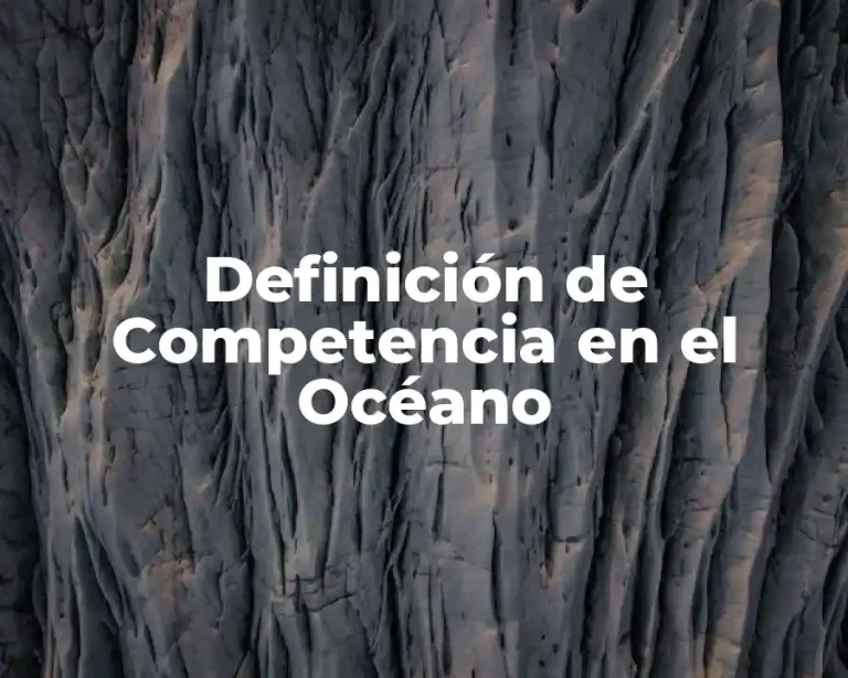 Definición de Competencia en el Océano