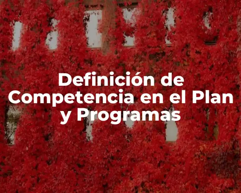 Definición de Competencia en el Plan y Programas