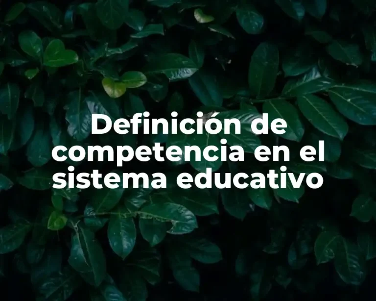 Definición de competencia en el sistema educativo