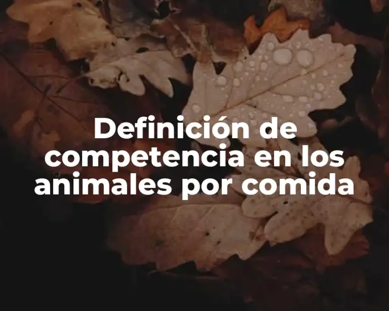 Definición de competencia en los animales por comida