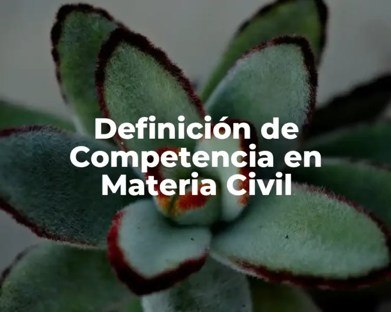 Definición de Competencia en Materia Civil