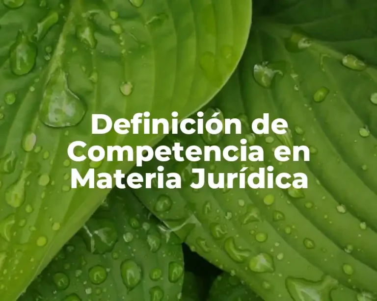 Definición de Competencia en Materia Jurídica