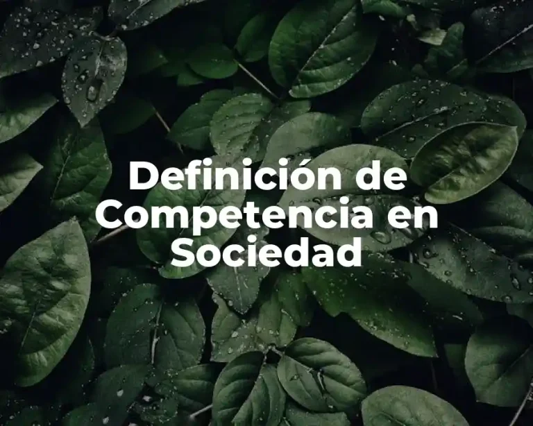 Definición de Competencia en Sociedad