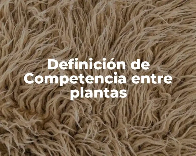 Definición de Competencia entre plantas