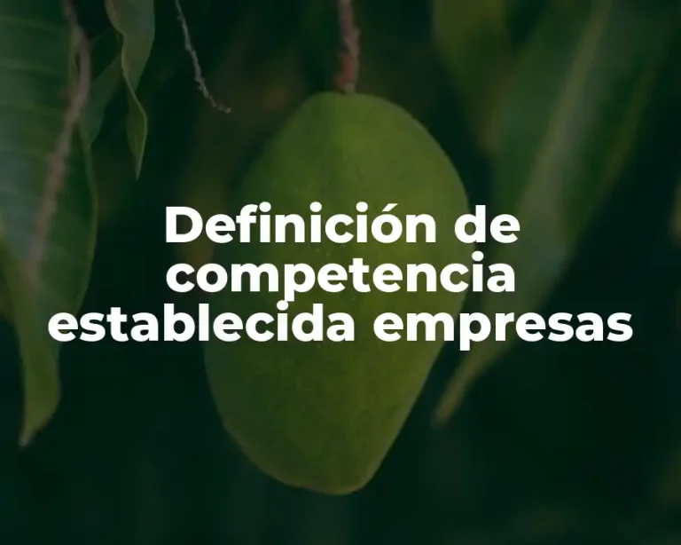 Definición de competencia establecida empresas