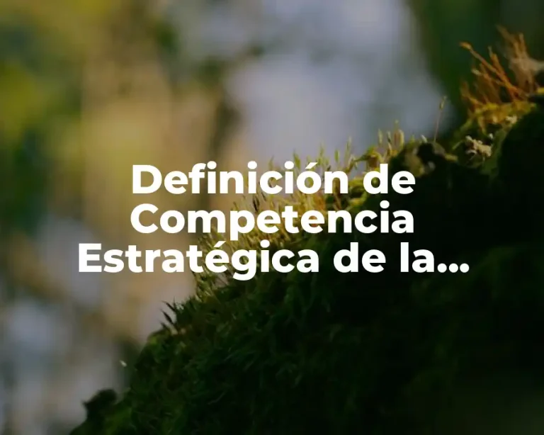 Definición de Competencia Estratégica de la Lengua