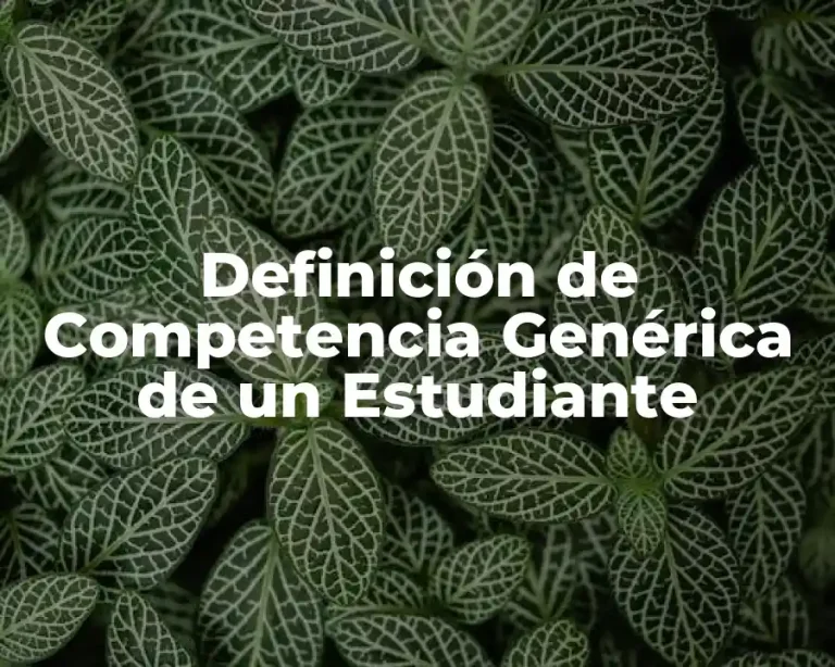 Definición de Competencia Genérica de un Estudiante