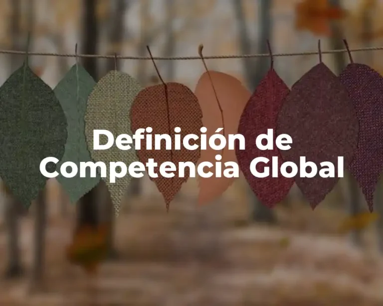 Definición de Competencia Global