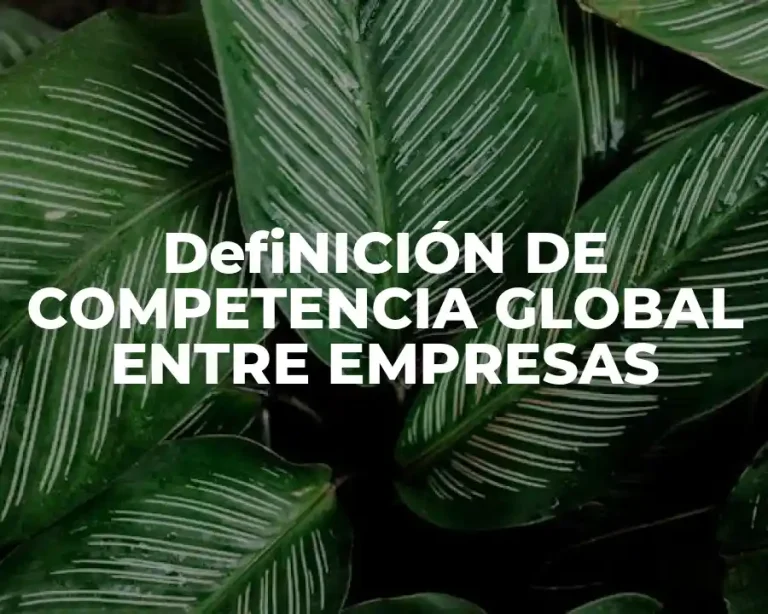 DefiNICIÓN DE COMPETENCIA GLOBAL ENTRE EMPRESAS