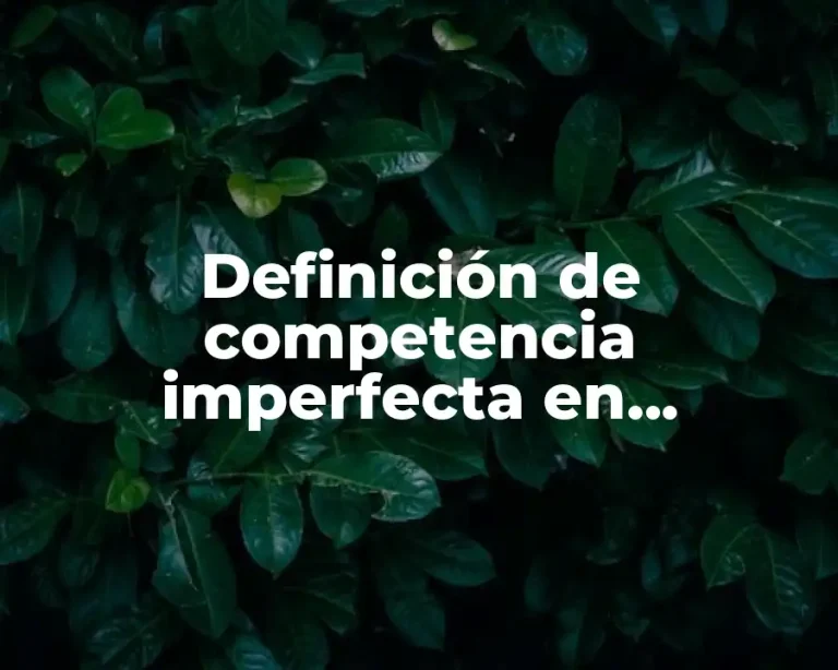 Definición de competencia imperfecta en Argentina
