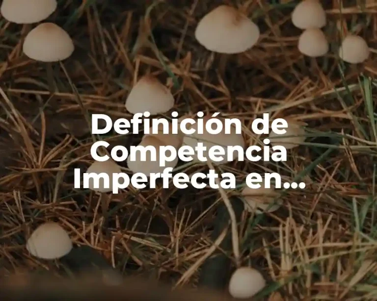 Definición de Competencia Imperfecta en Economía