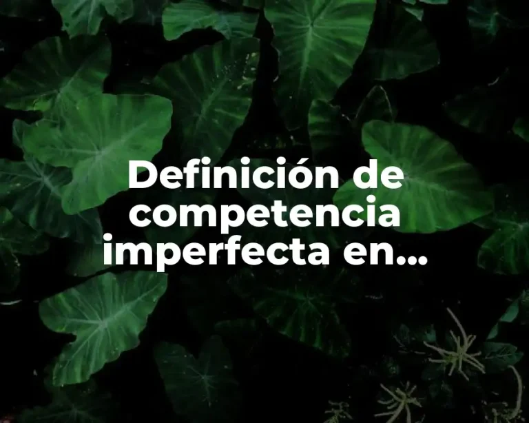 Definición de competencia imperfecta en empresas de consumo de México