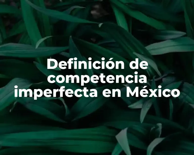 Definición de competencia imperfecta en México