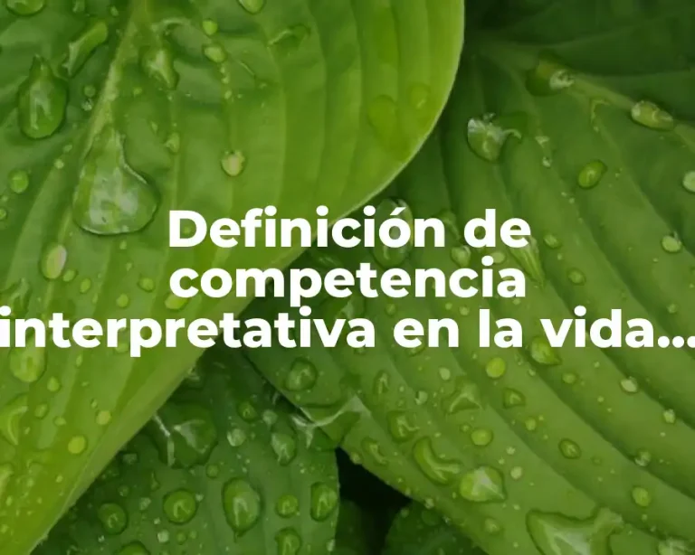 Definición de competencia interpretativa en la vida cotidiana