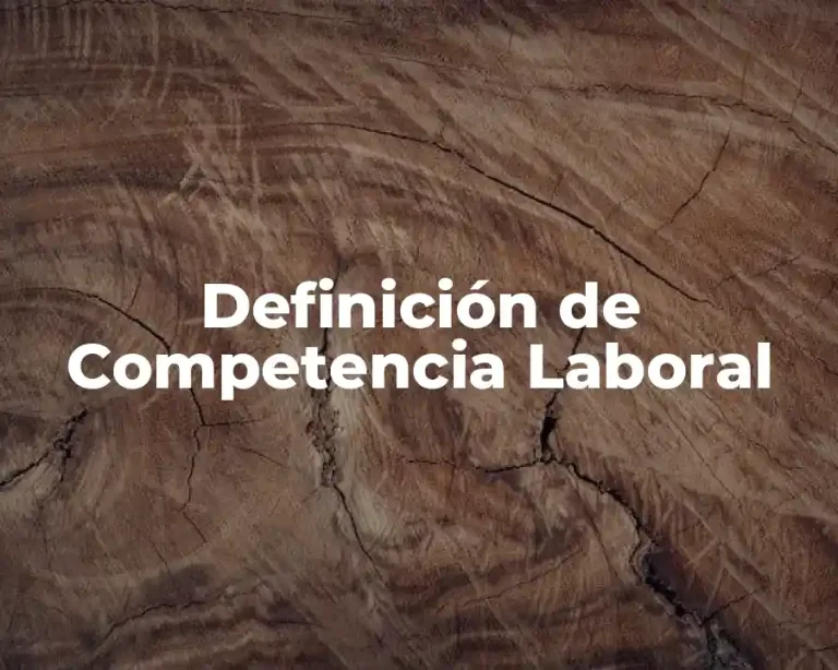 Definición de Competencia Laboral