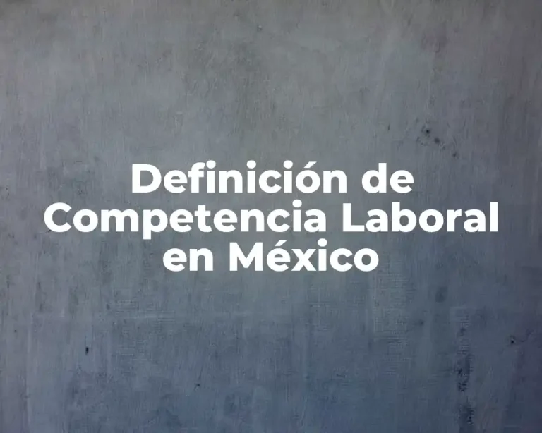 Definición de Competencia Laboral en México