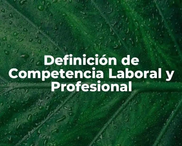 Definición de Competencia Laboral y Profesional