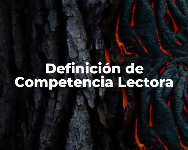 Definición de Competencia Lectora