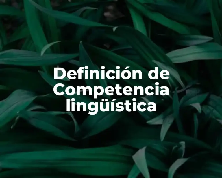 Definición de Competencia lingüística