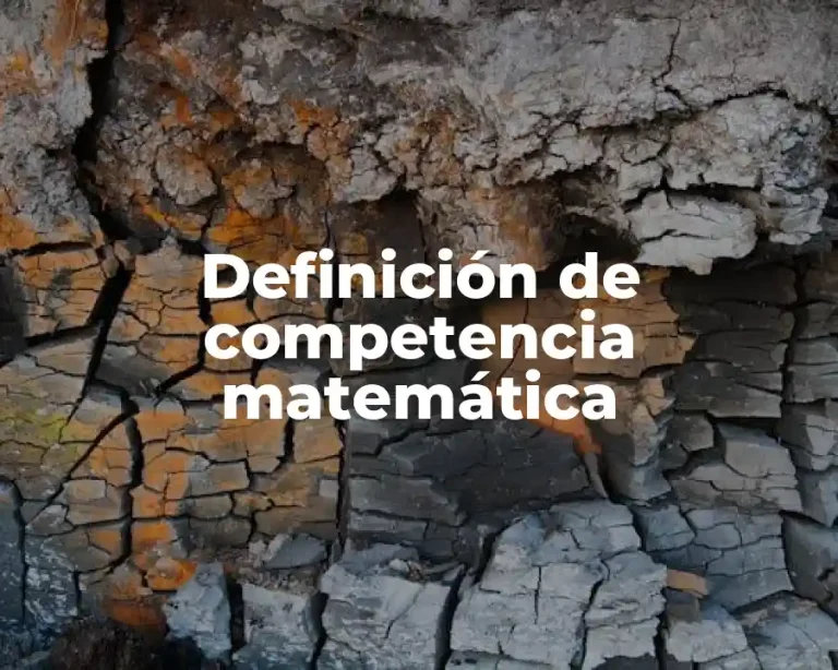 Definición de competencia matemática