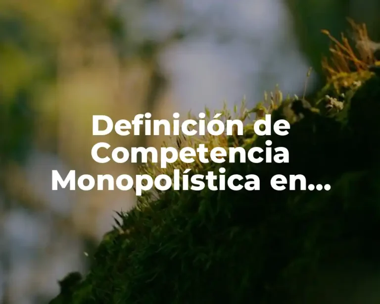 Definición de Competencia Monopolística en Economía