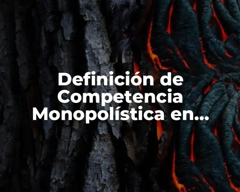 Definición de Competencia Monopolística en Guatemala