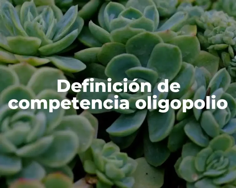 Definición de competencia oligopolio