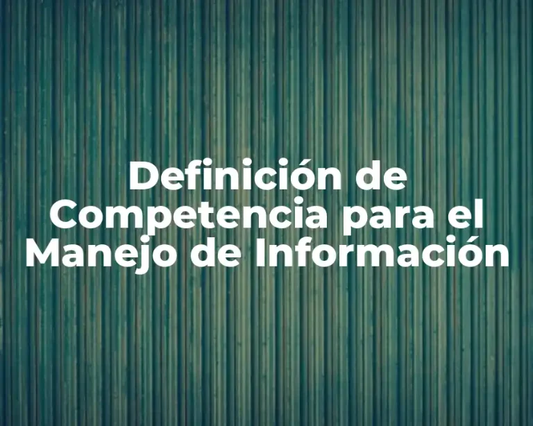 Definición de Competencia para el Manejo de Información