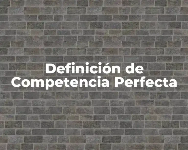 Definición de Competencia Perfecta