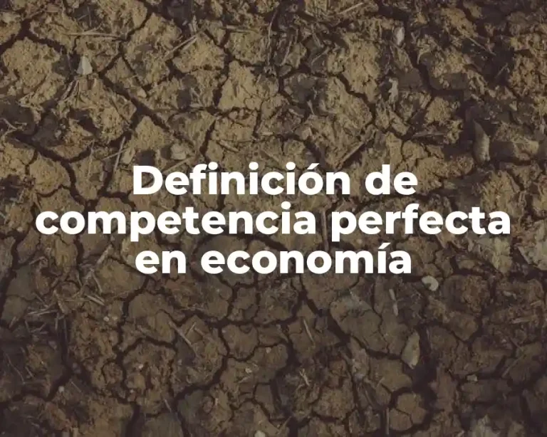 Definición de competencia perfecta en economía